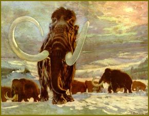 Zdenek Burian - Mammoth herd